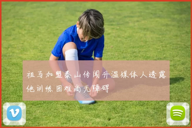 祖马加盟泰山传闻升温媒体人透露他训练困难尚无障碍